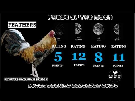 lunar cocking calendar guide 2023|Win Derbies Using Lunar Cocking Calendar .